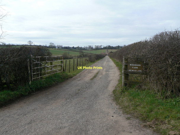 Photo 6"x4" Track to Wood Barn Track Lambley\/SK6345 c2011