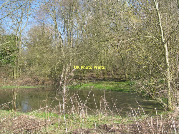 Photo 6"x4" Pond by the Viking Way Boothby Graffoe c2011