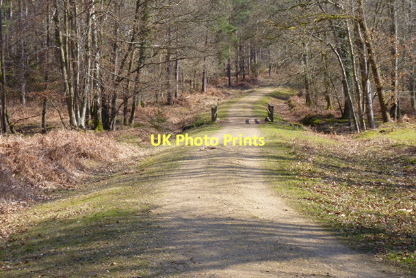 Photo 6"x4" Path and Bridge over Highland Water Newtown\/SU2710 c2011