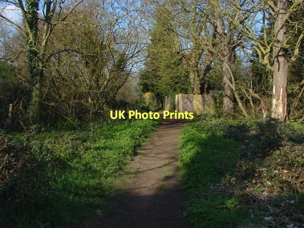 Photo 6"x4" Shepperton gravel pits Chertsey c2011
