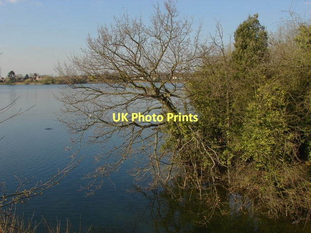 Photo 6"x4" Shepperton gravel pits Chertsey c2011
