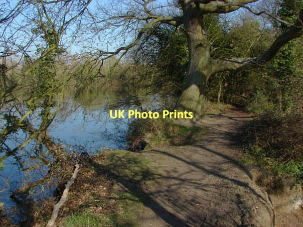 Photo 6"x4" Shepperton gravel pits Chertsey c2011