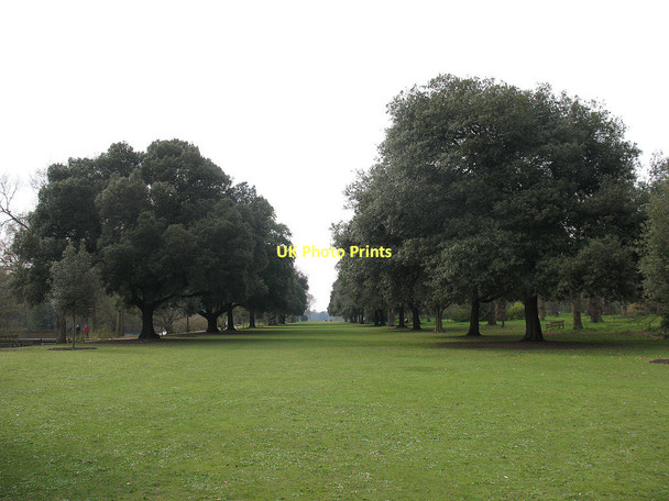 Photo 6"x4" Syon Vista, Kew Gardens Brentford c2011