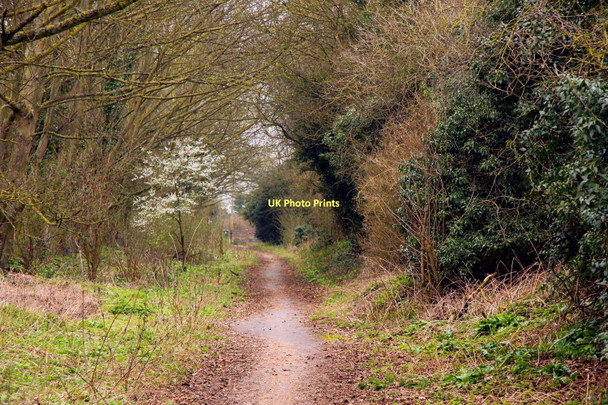 Photo 6"x4" Cycleway to Long Wittenham Brightwell-cum-Sotwell c2011 P1