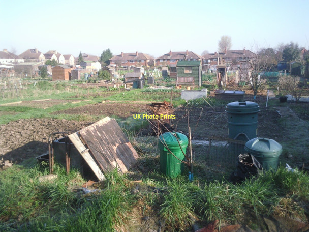 Photo 6"x4" Church Road Allotments, Bexleyheath Bexley c2011