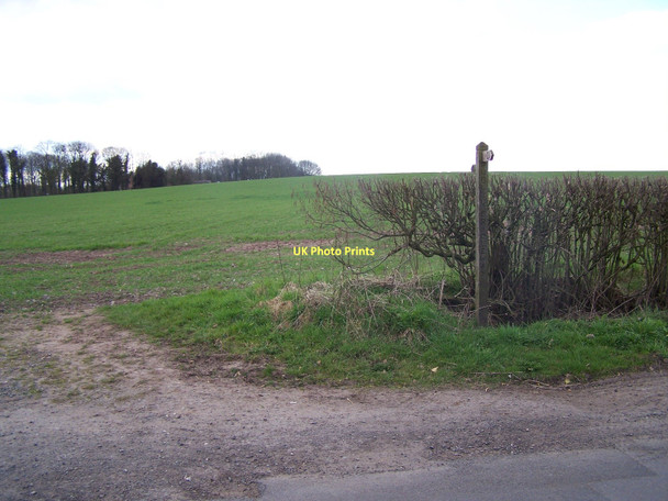 Photo 6"x4" Footpath Near Ivetsey Bank Bishops Wood c2011