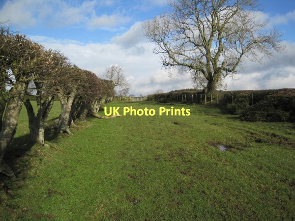 Photo 6"x4" Green Lane and Bridleway near Bygate Black Heddon\/NZ0776 c2011