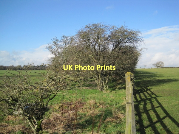 Photo 6"x4" Site of Dismantled Railway near Bygate Black Heddon\/NZ0776 c2011