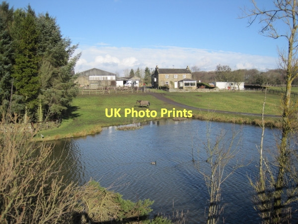 Photo 6"x4" The Byerley Stud Wallridge c2011