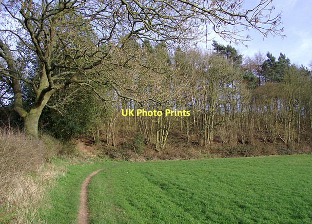 Photo 6"x4" Public footpath to woods near Beckbury, Shropshire Beckbury\/SJ7601 c2011
