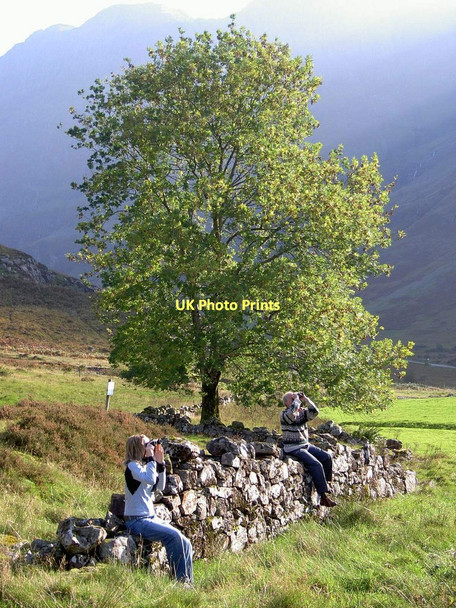 Photo 6"x4" A blink of sun in Glencoe Glencoe\/NN1058 c2006