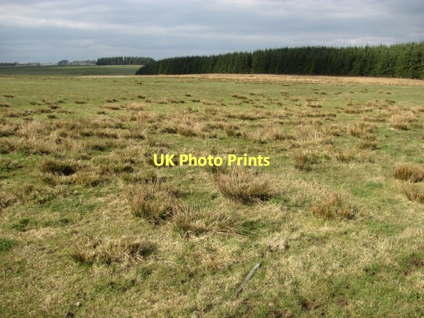 Photo 6"x4" Blacklaw Moss Carstairs c2011