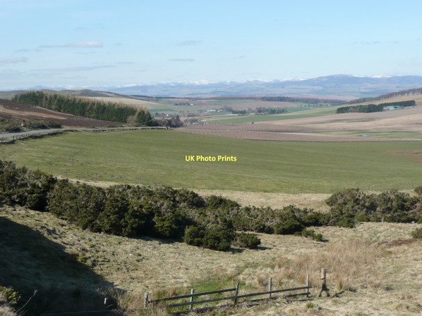 Photo 6"x4" Pasture beside the A928 Over Finlarg c2011