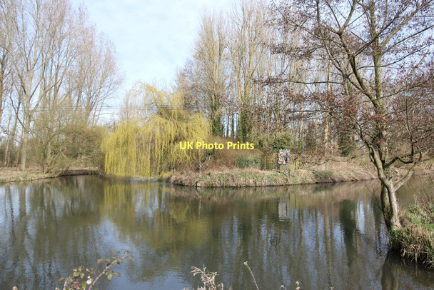 Photo 6"x4" Back to the fork Ufton Green c2011