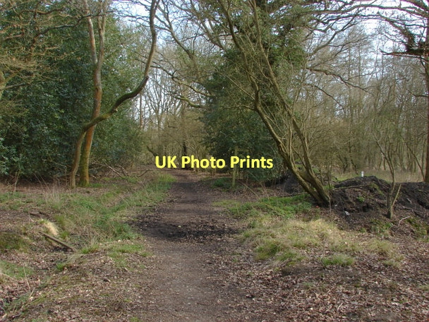Photo 6"x4" Blind Lane Brook Place\/SU9561 c2011