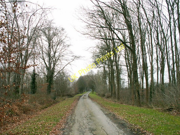 Photo 6"x4" Near Forton Heath Forton Heath c2006