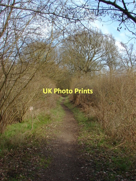 Photo 6"x4" Blind Lane Brook Place\/SU9561 c2011