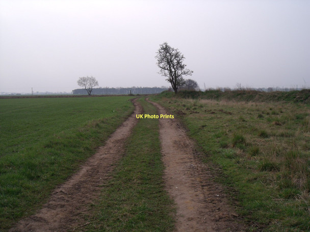 Photo 6"x4" Farm track near Knedlington Asselby c2011