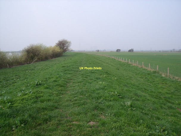 Photo 6"x4" Trans Pennine Trail beside the River Ouse Airmyn c2011