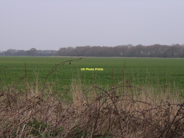 Photo 6"x4" Farmland off Moor Lane Barlby c2011