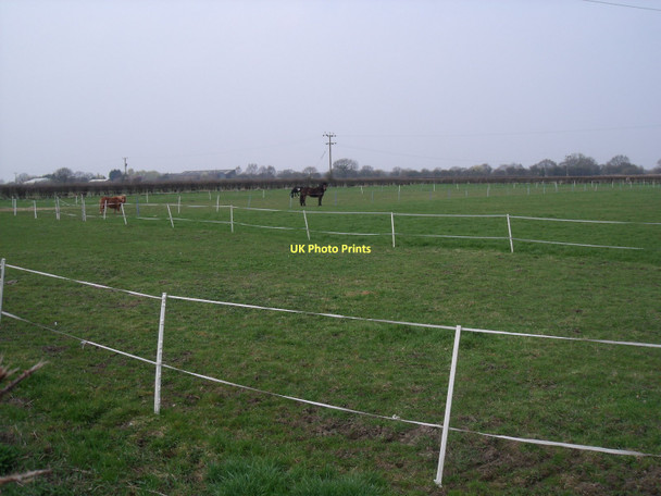 Photo 6"x4" Grazing land near Nevithorne South Duffield c2011