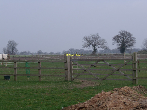 Photo 6"x4" Grazing land, South Duffield South Duffield c2011