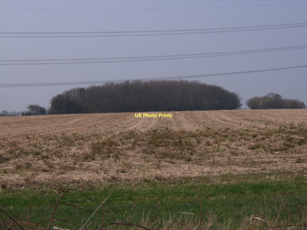 Photo 6"x4" Intake Plantation Wressle\/SE7131 c2011