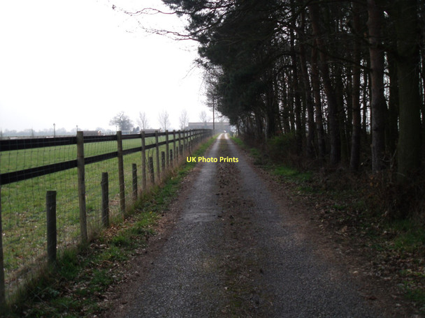 Photo 6"x4" Track to Wood Farm Brind c2011
