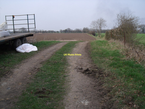 Photo 6"x4" Farm track, Eastrington Eastrington c2011