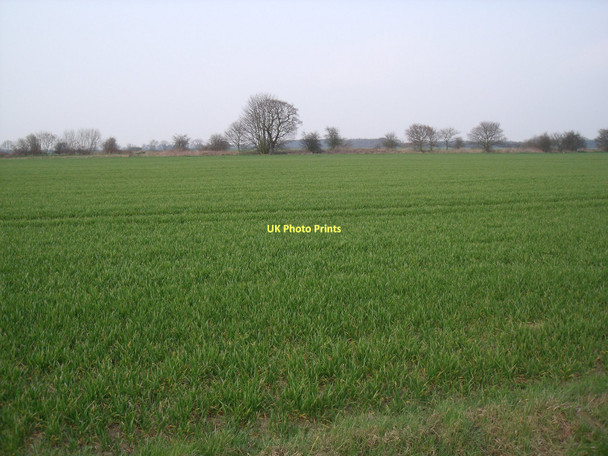 Photo 6"x4" Farmland near Eastrington Newland\/SE8029 c2011