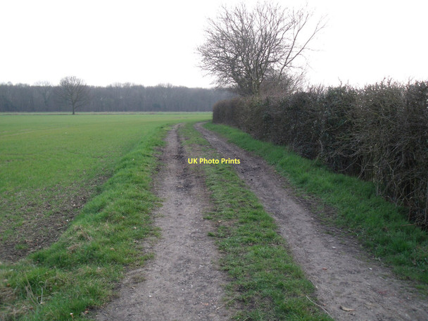 Photo 6"x4" Bridleway towards Ings Wood Sandholme\/SE8230 c2011