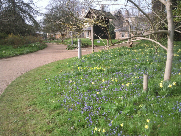 Photo 6"x4" Cambridge University Botanic Garden Cambridge\/TL4658 c2011