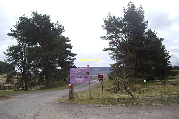 Photo 6"x4" Access to Knockburn Loch Bridge of Feugh c2011
