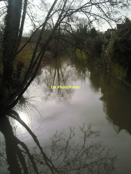 Photo 6"x4" A branch of the River Cherwell Oxford\/SP5106 c2011
