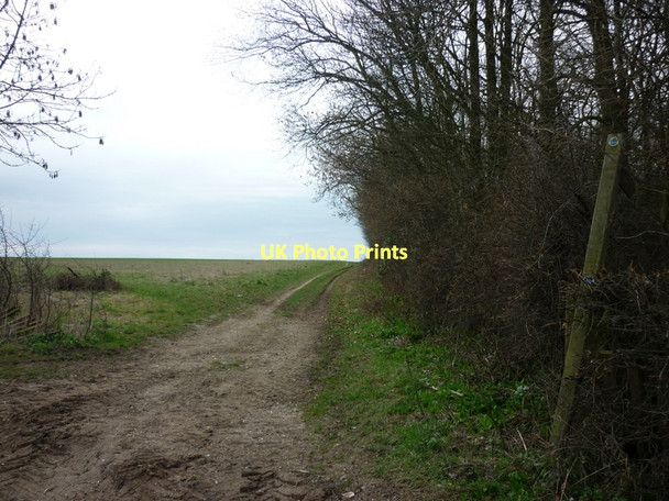 Photo 6"x4" A bridleway to the east of Etton West Wood Gardham c2011