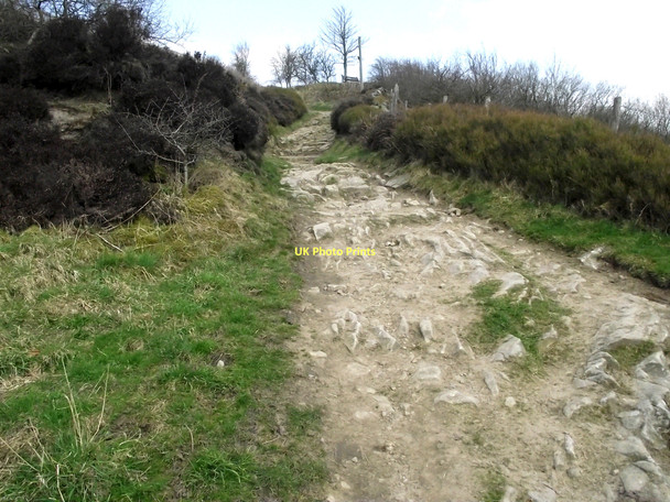 Photo 6"x4" Top of Saddlers Way Walker Barn c2011