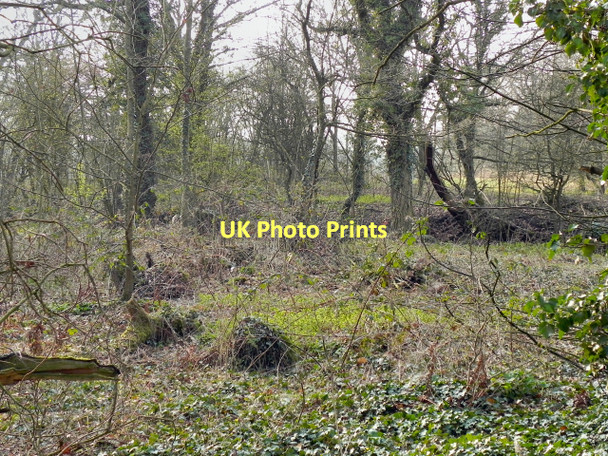 Photo 6"x4" Rixton Claypits Rixton c2011