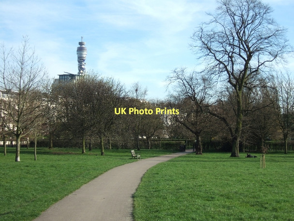 Photo 6"x4" Trees in Regent's Park Marylebone\/TQ2881 c2011