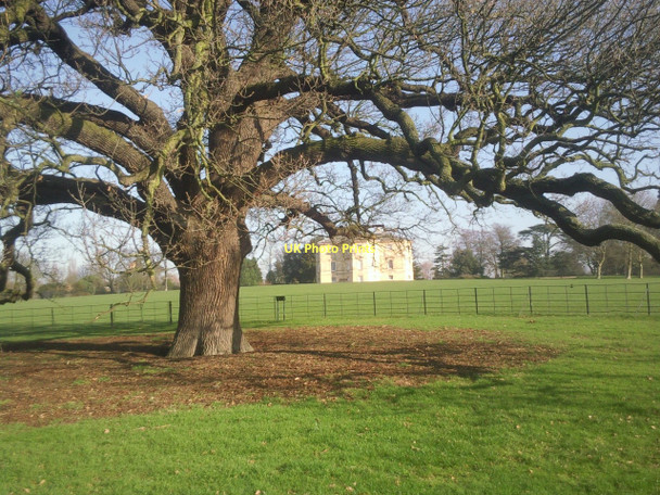 Photo 6"x4" Danson House through the Charter Oak Bexley c2011