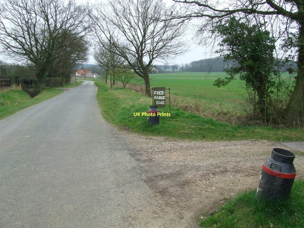 Photo 6"x4" Milk Churns Market Weston c2011