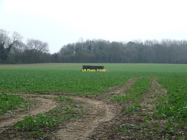 Photo 6"x4" Old Pillbox Market Weston c2011