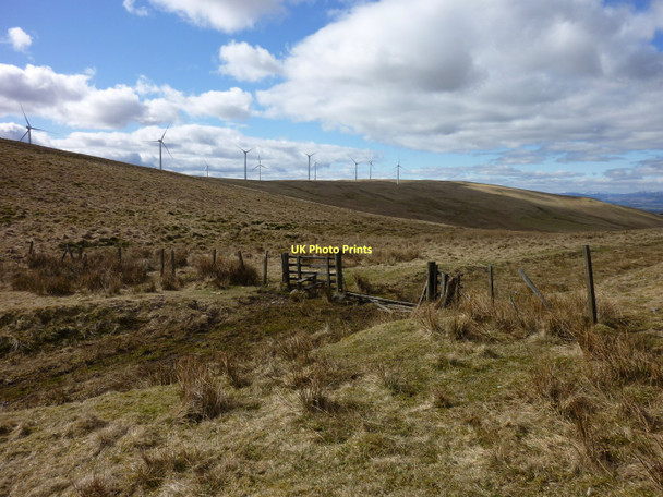 Photo 6"x4" Auchterarder Path Glendevon\/NN9904 c2011