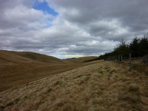 Photo 6"x4" Black Creich Fence line Glendevon\/NN9904 c2011