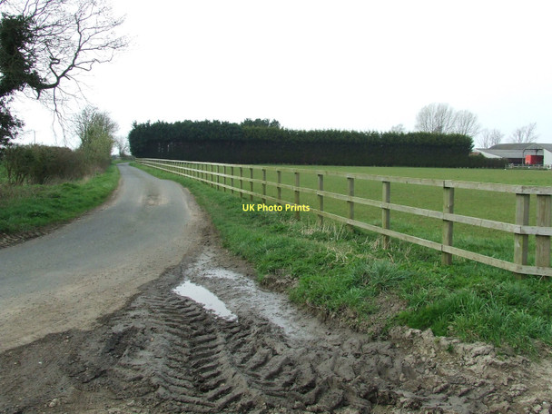 Photo 6"x4" Paddock Fencing Bobby Hill c2011