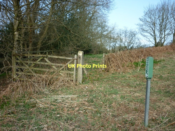 Photo 6"x4" A footpath to Jugger Howe Beck Harwood Dale c2011