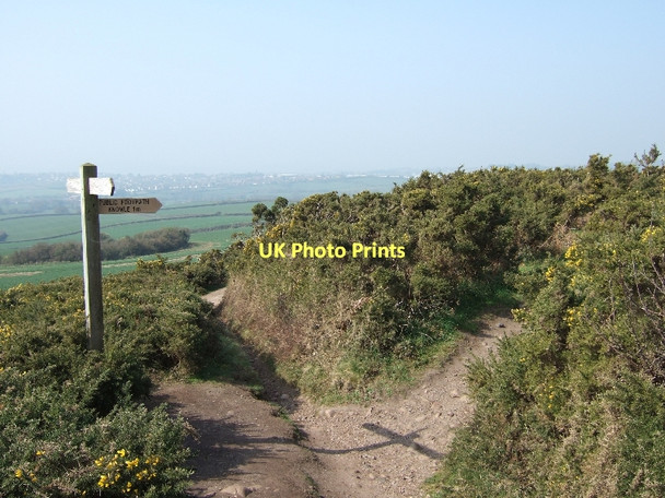Photo 6"x4" Footpath junction on West Down Beacon Budleigh Salterton c2011