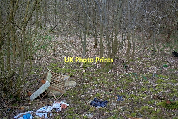 Photo 6"x4" Arrock Plantation, Kirk Dale Sheldon\/SK1768 c2011