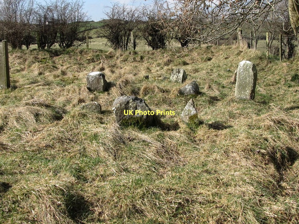 Photo 6"x4" Gravestones at the ruined church at Ballymoney Kilcoo c2011