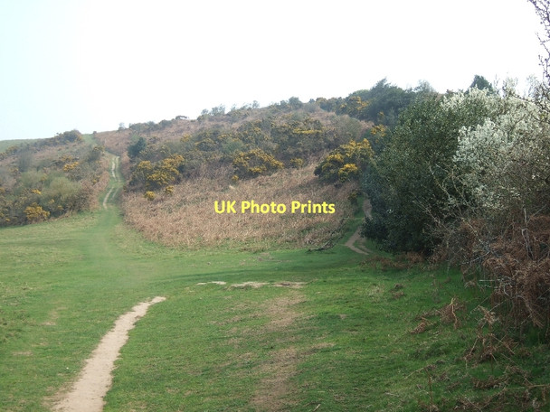 Photo 6"x4" Junction of two paths on Peak Hill Sidmouth c2011