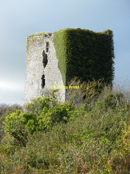 Photo 6"x4" Derrydonnell Castle Athenry c2009